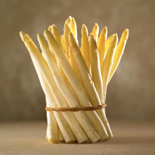 Sabatini Ristorante Italiano (Hong Kong Branch) - White Asparagus Promotion